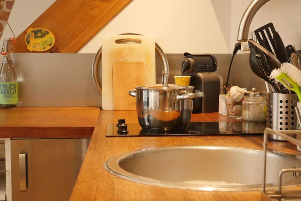 Oparadi 'Le Vieux Lille' A Deux Pas Des Boutiques Et Restaurants 外观 照片